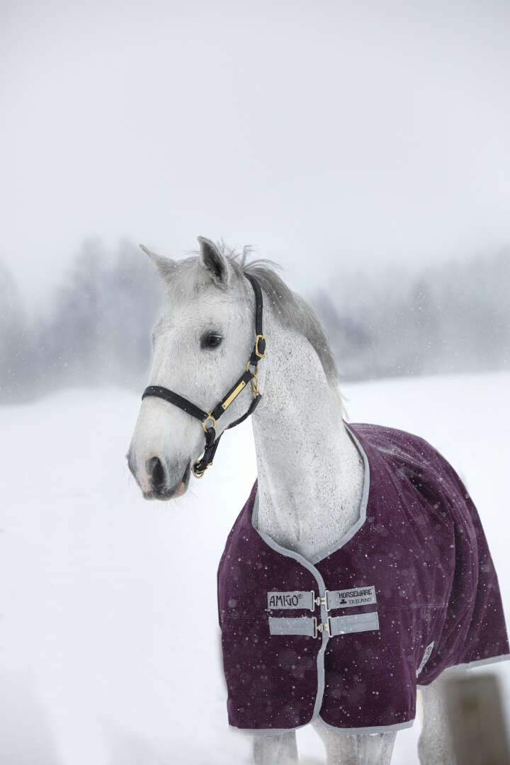 Horseware AMIGO Outdoordecke Hero 200g Ripstop